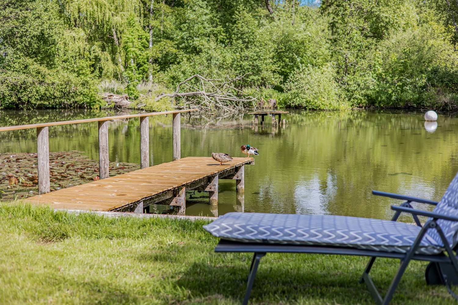 eigener Teich