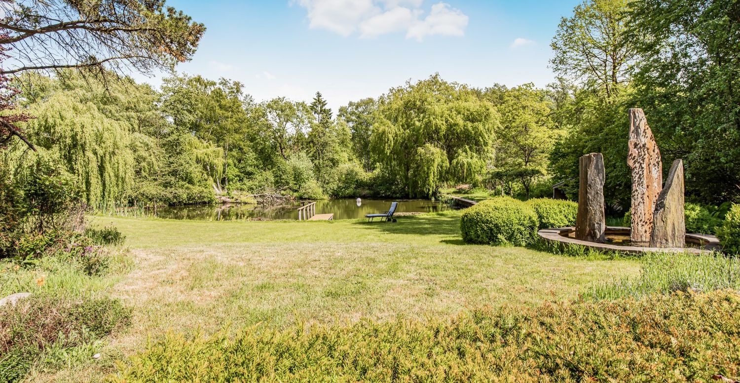 Blick in den Garten