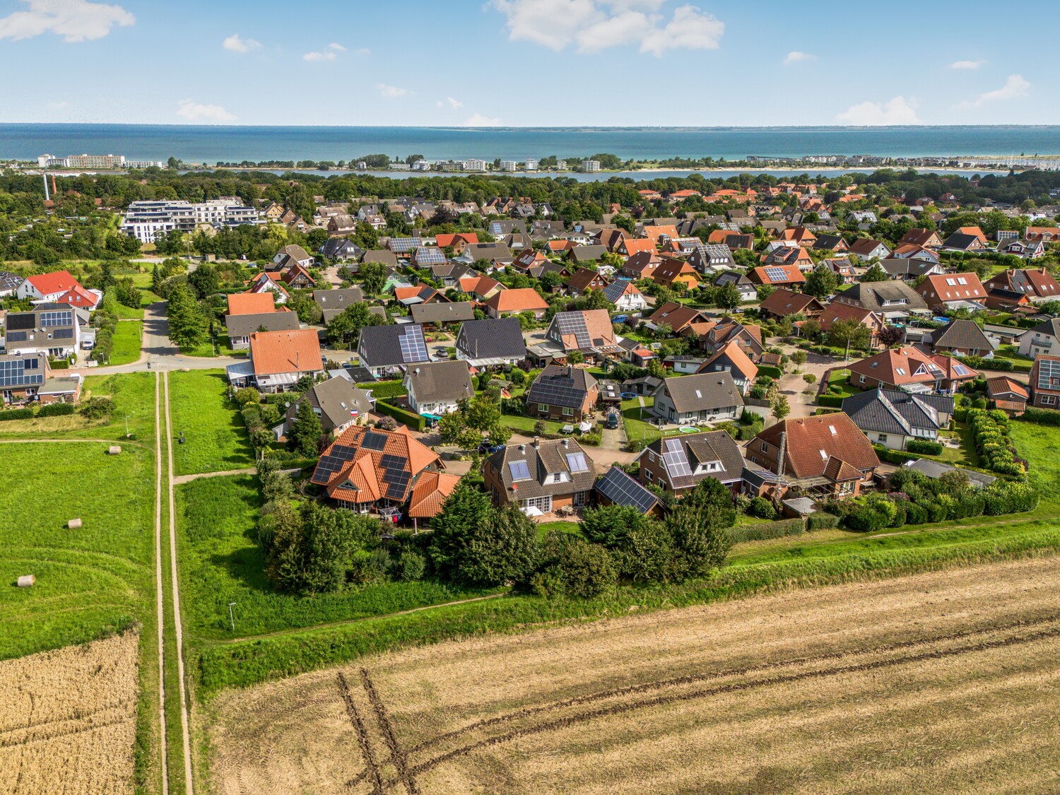 Feldrand/Ostseenähe