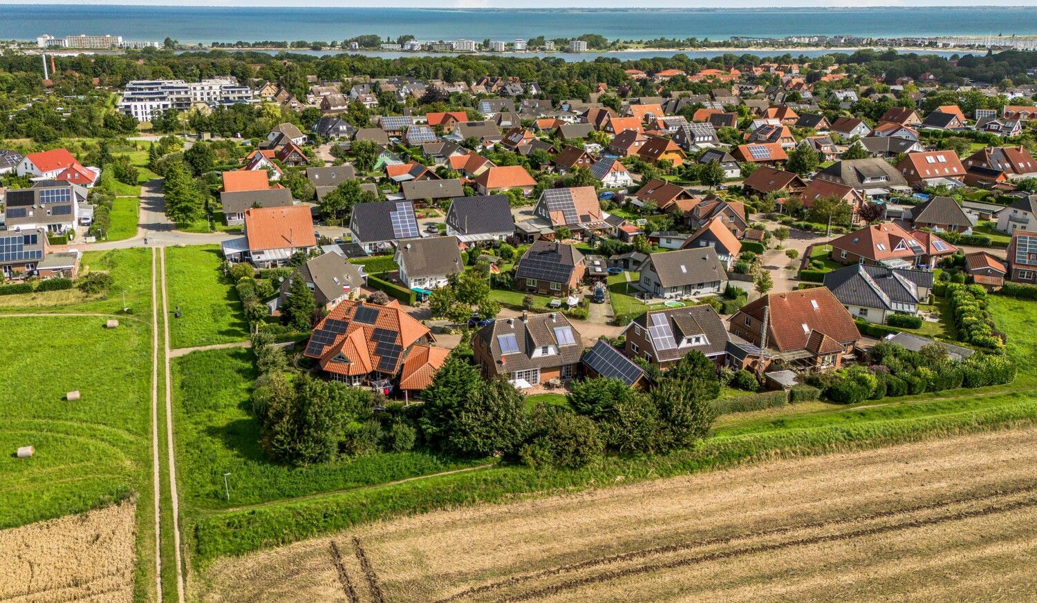 Feldrand/Ostseenähe
