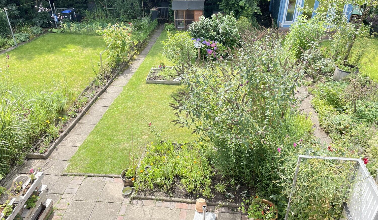 Blick in den Garten