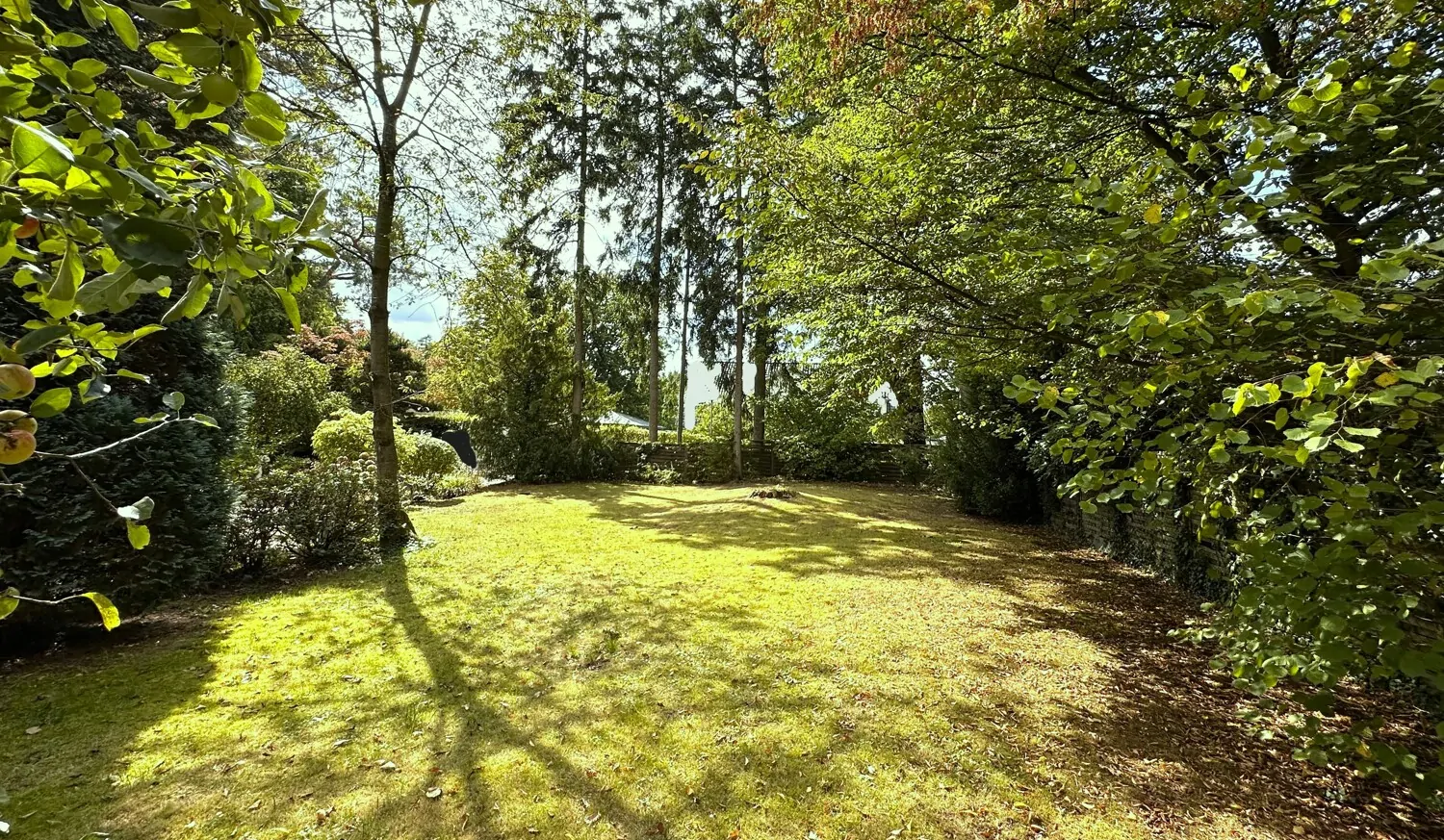 vorderer Bereich des Grundstücks