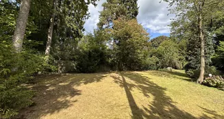 von_poll_real_estate_property_25457020_image_3