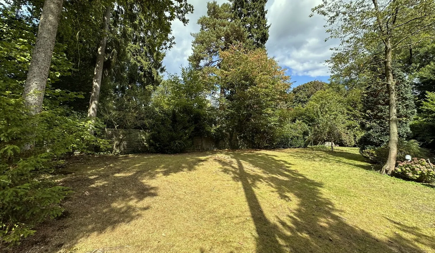 rückwärtiger Bereich des Grundstücks