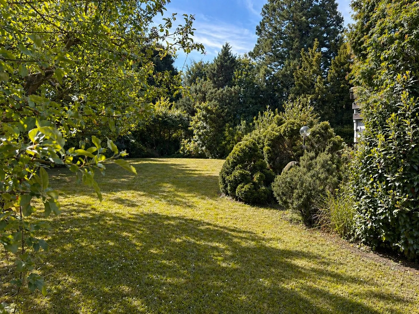 Blick in den Garten