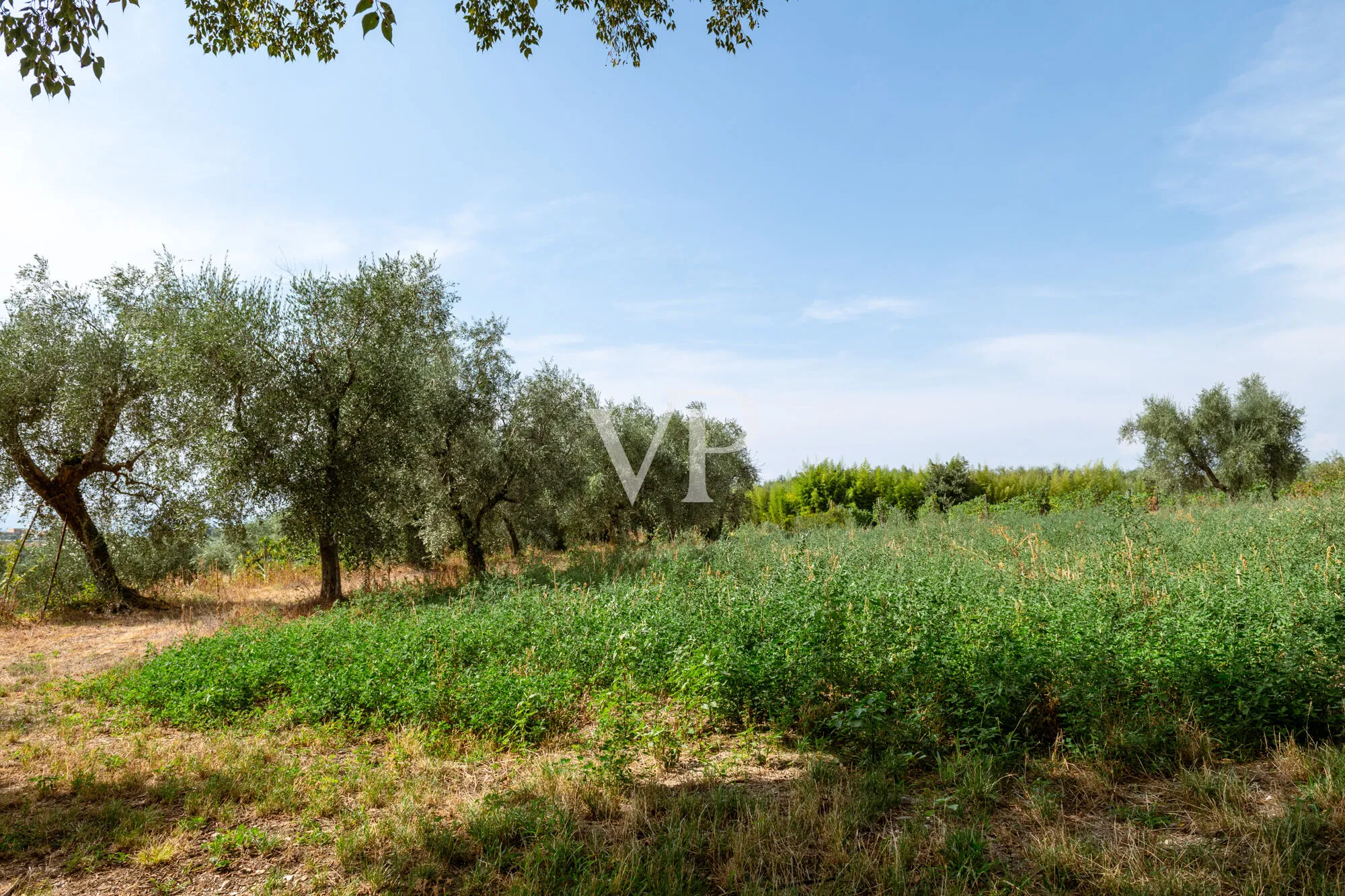 Maison rustique typique à l'état brut avec un grand terrain