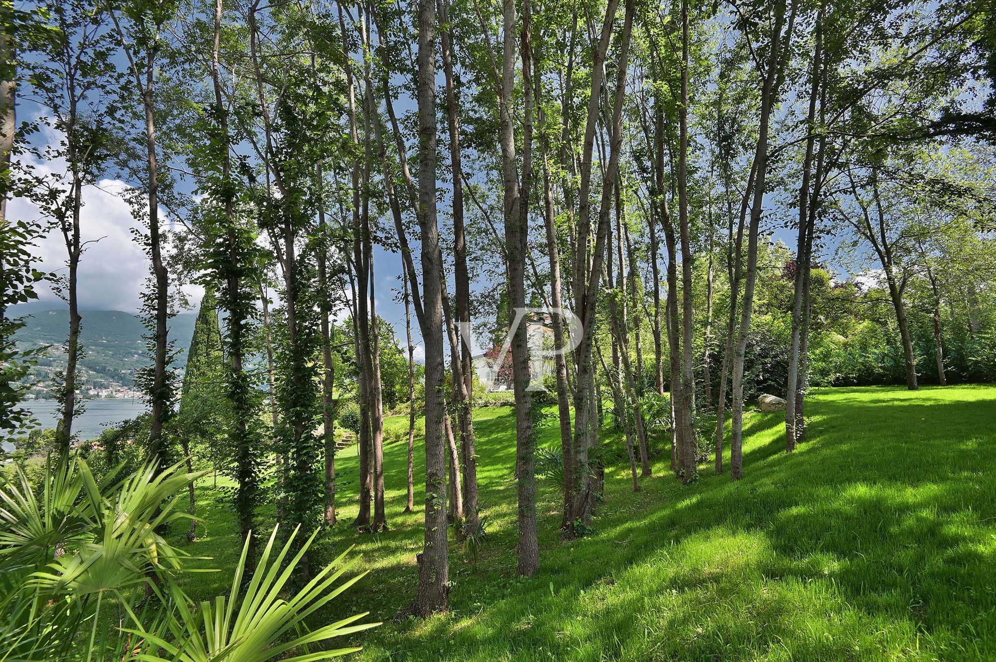Beautiful villa with 
enchanting lake view
