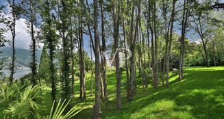 von_poll_real_estate_property_IT23492576_image_14