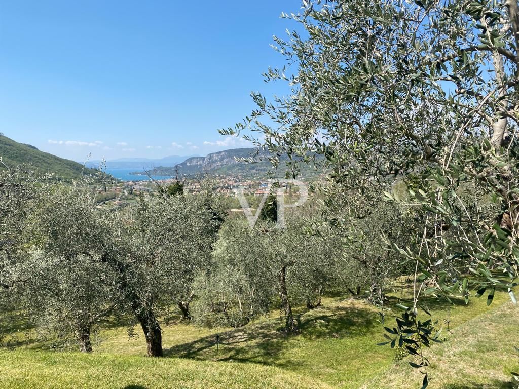 Traumhafter Blick auf die Bucht von Garda - wunderschöne Umgebungsbebauung in mediterraner Natur und eigenes Olivenöl