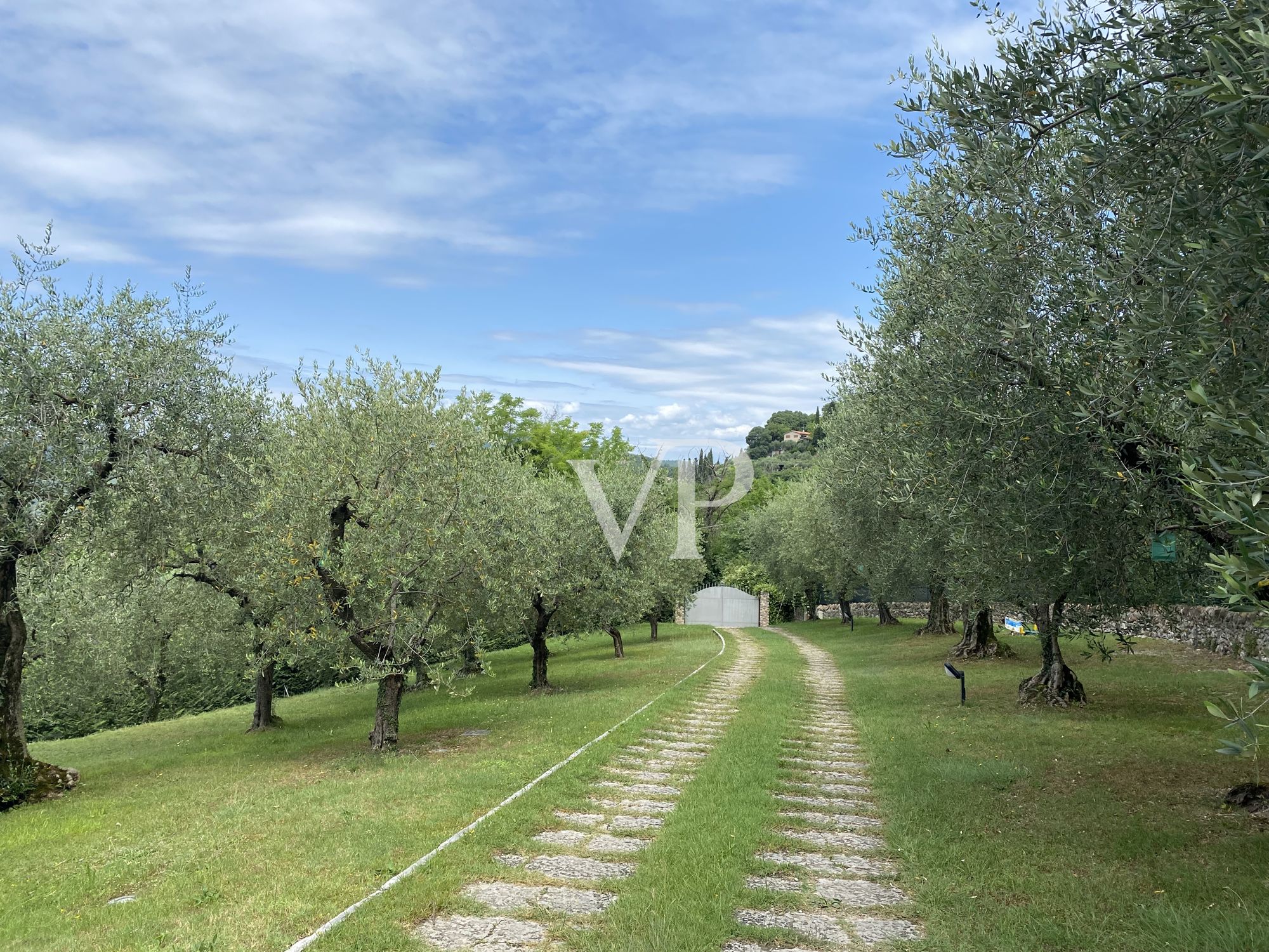 Fantástica vista de la bahía de Garda - hermoso desarrollo circundante en la naturaleza mediterránea y la producción propia de aceite de oliva