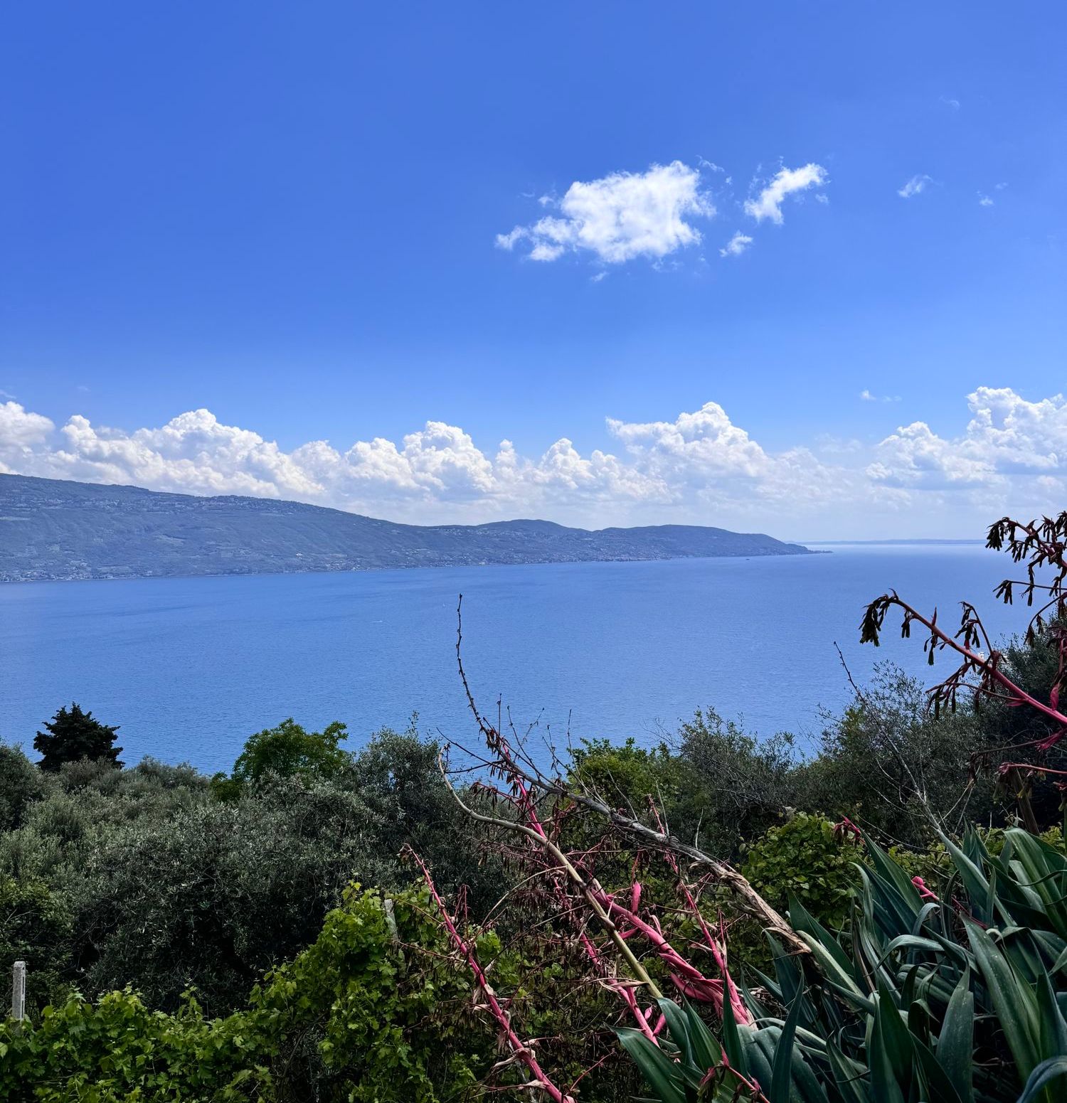 La vista