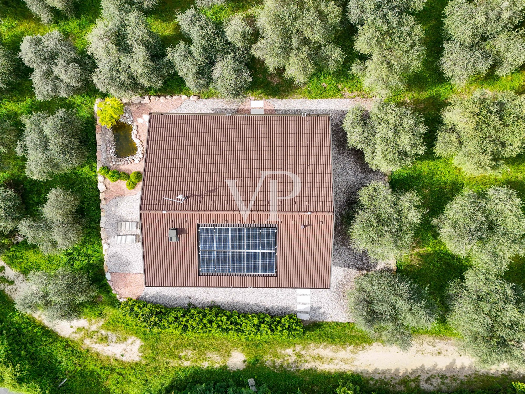 Vacation home, Agriturismo, riding arena and B&B nestled in 3 hectares of olive grove