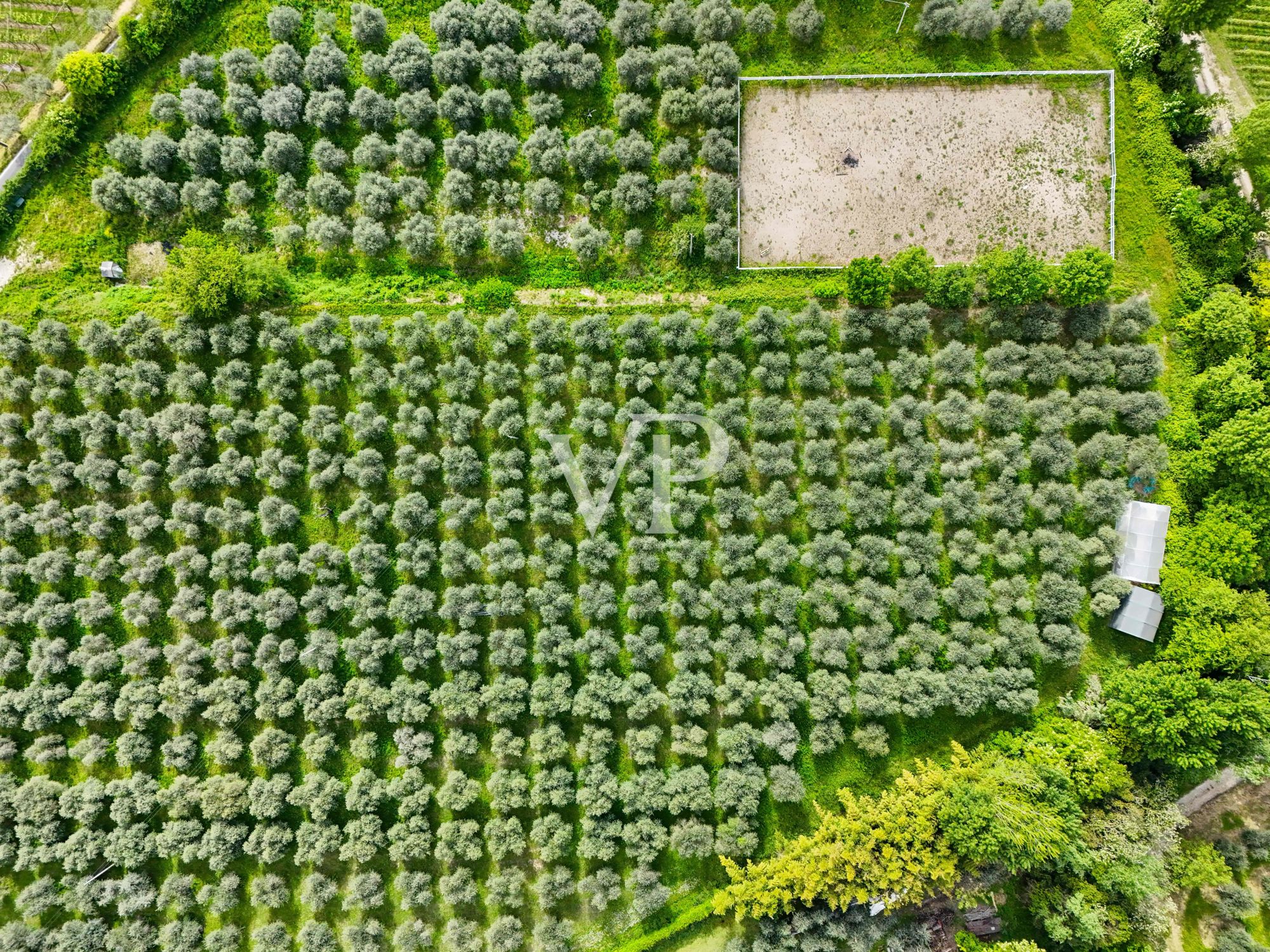 Maison de vacances, agritourisme, manège et B&B nichés dans une oliveraie de 3 hectares