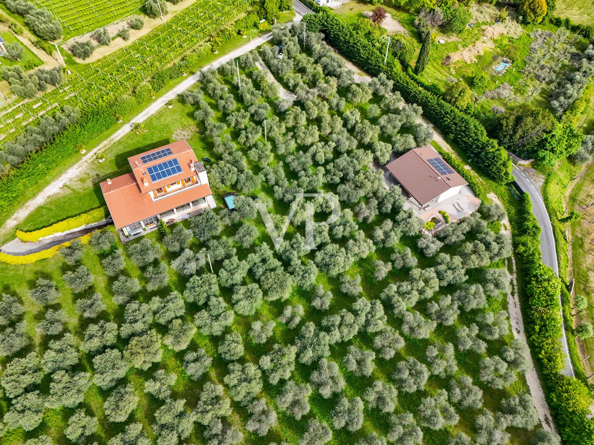 Maison de vacances, agritourisme, manège et B&B nichés dans une oliveraie de 3 hectares