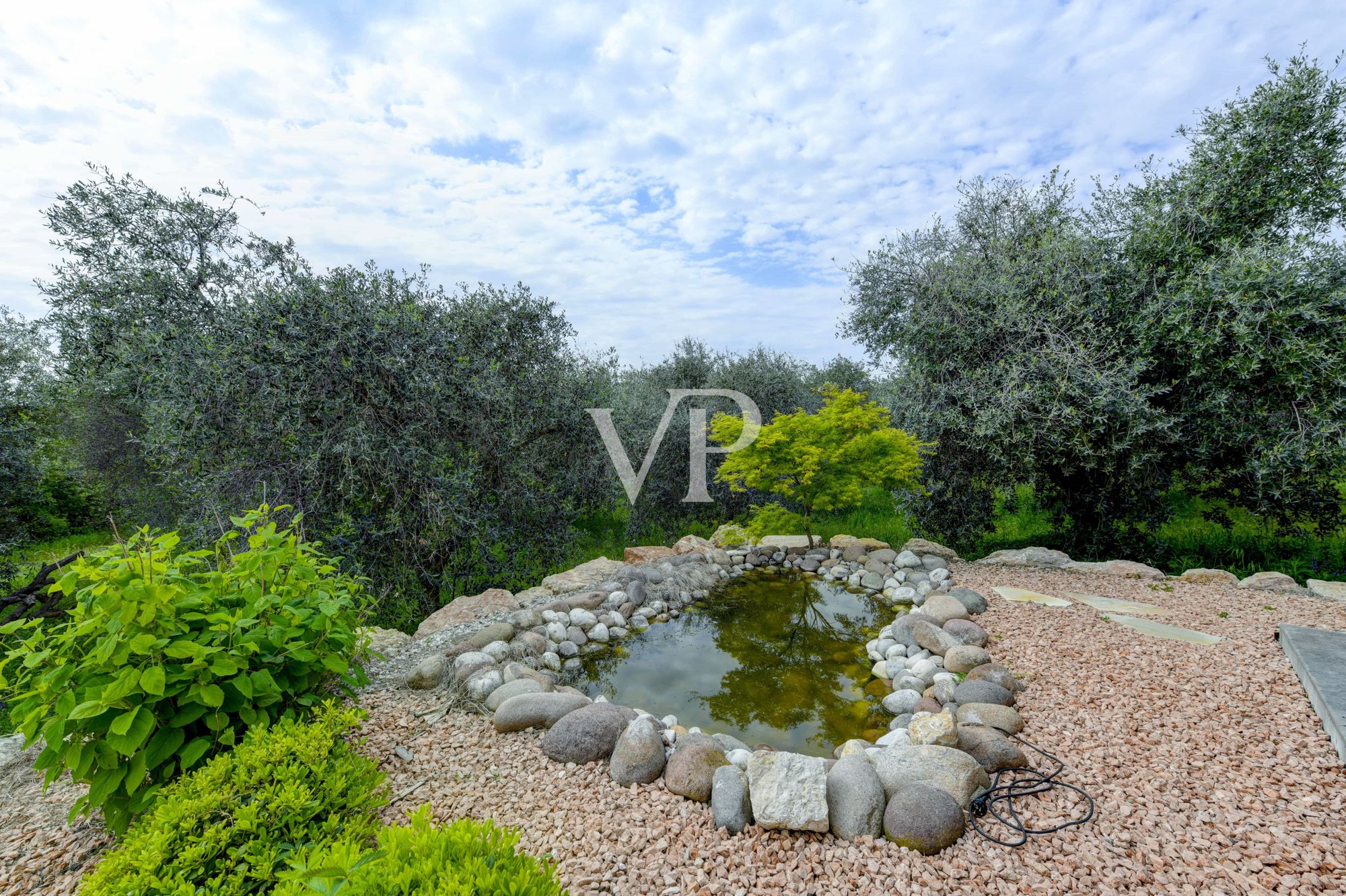 Vacation home, Agriturismo, riding arena and B&B nestled in 3 hectares of olive grove