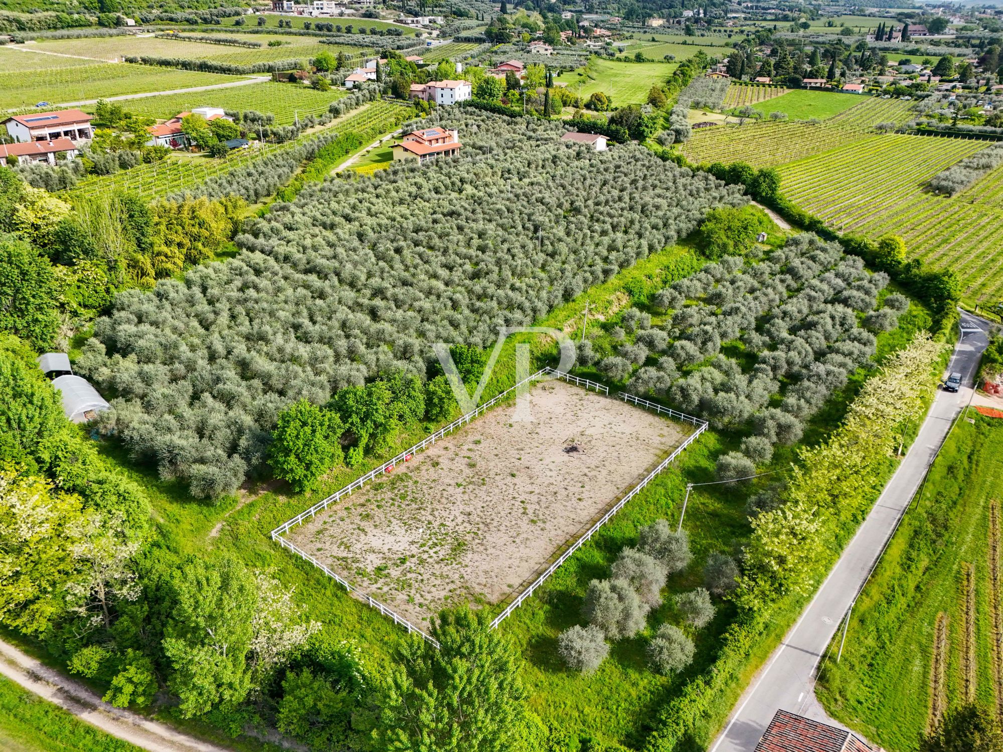 Vacation home, Agriturismo, riding arena and B&B nestled in 3 hectares of olive grove