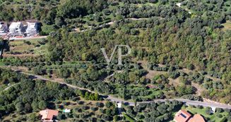 von_poll_real_estate_property_IT244921402_image_4