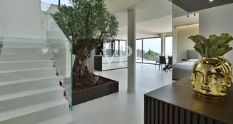 von_poll_real_estate_property_IT244151440_image_88