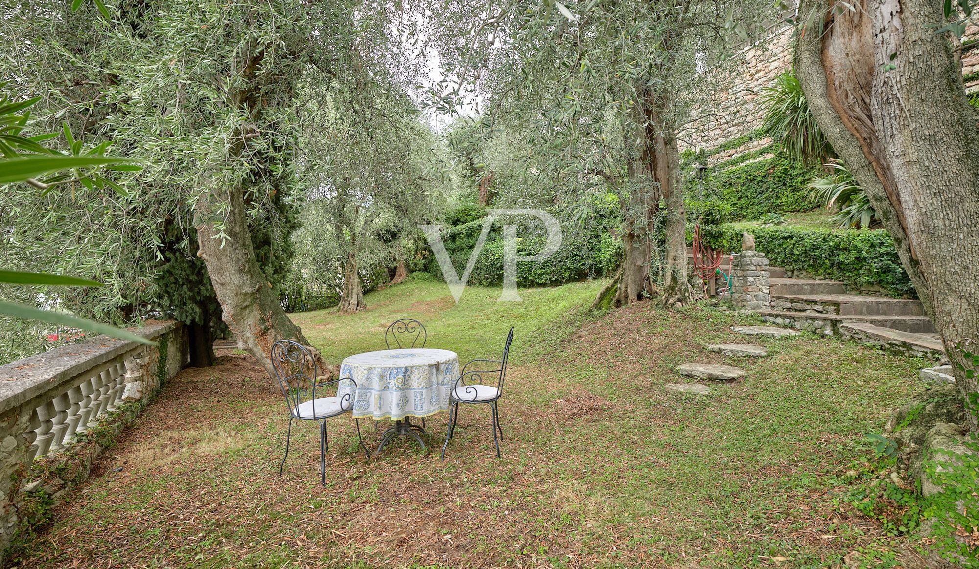 VON POLL - Malcesine web - 016