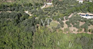 von_poll_real_estate_property_IT244921472_image_13