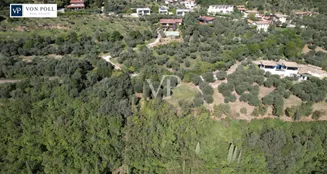 von_poll_real_estate_property_IT244921472_image_41