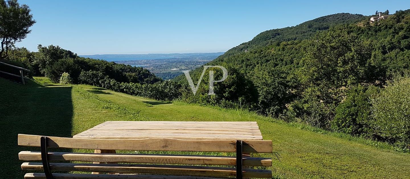Vista