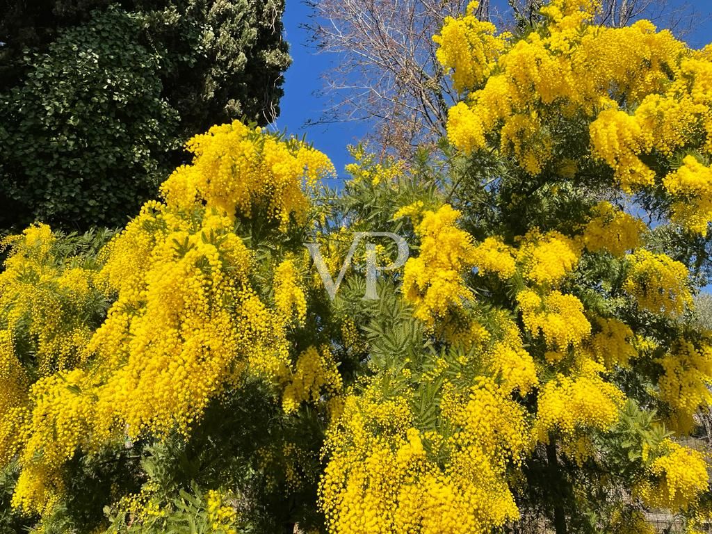 Elegant lake-view villa in Salò