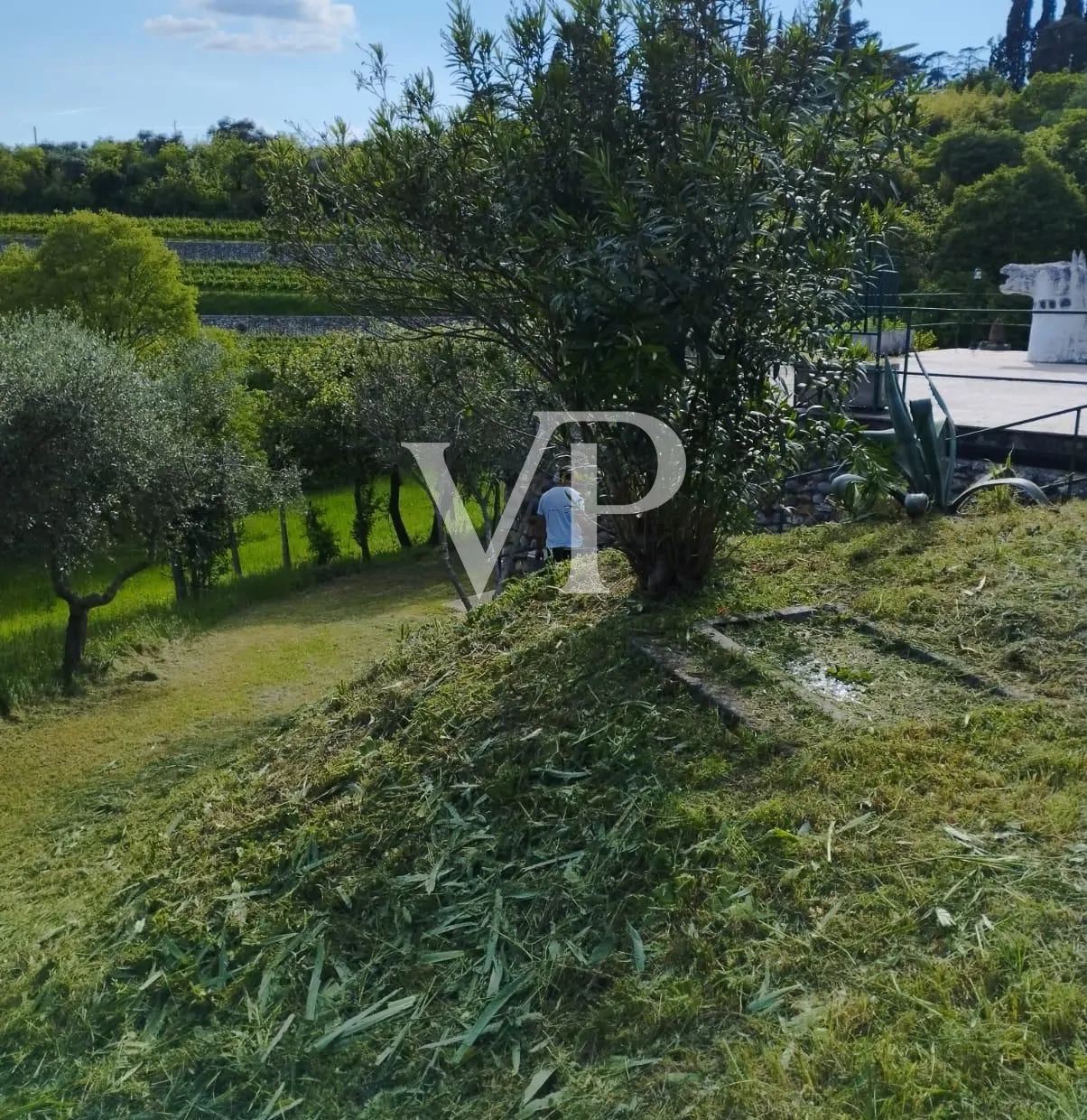 PHOTO-2024-09-18-15-23-05 (11)