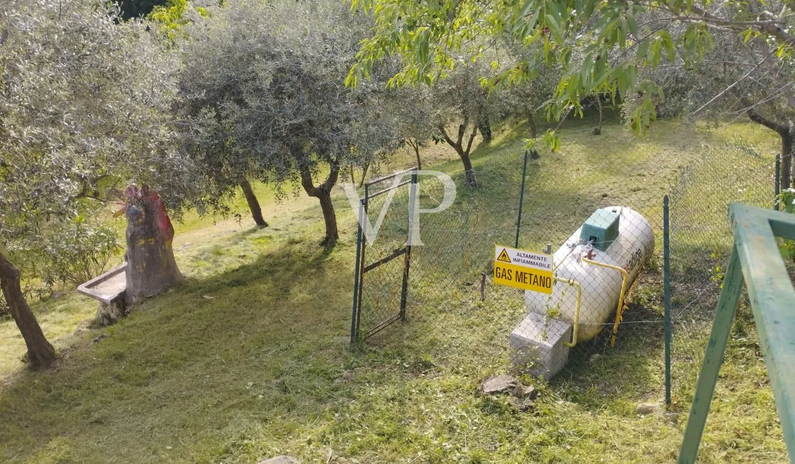 PHOTO-2024-09-18-15-23-05 (1)