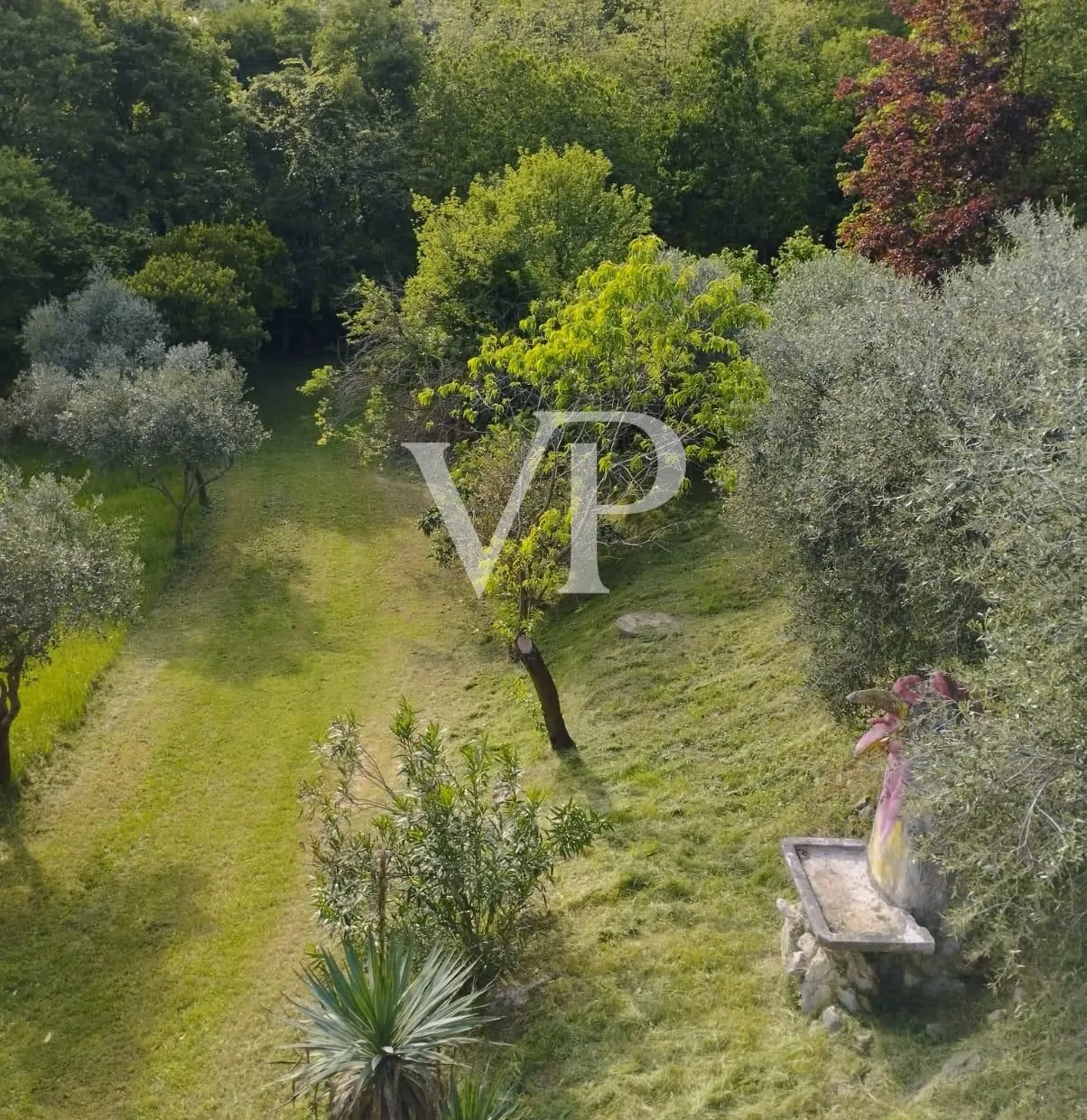 PHOTO-2024-09-18-15-23-05 (9)