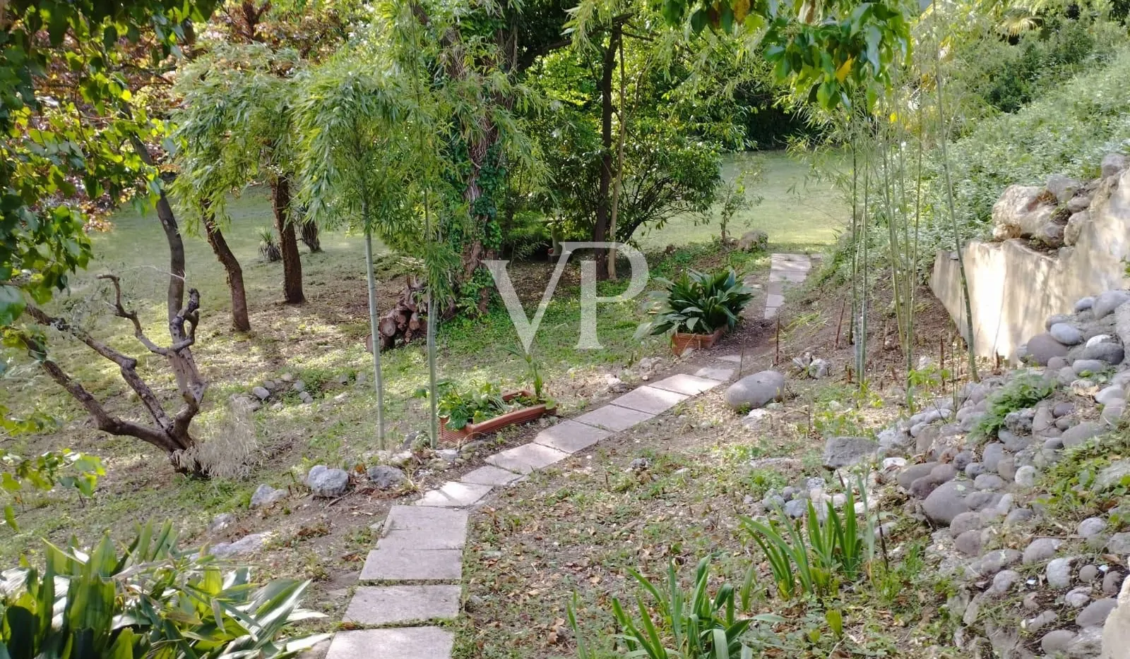 PHOTO-2024-09-18-15-23-04 (1)