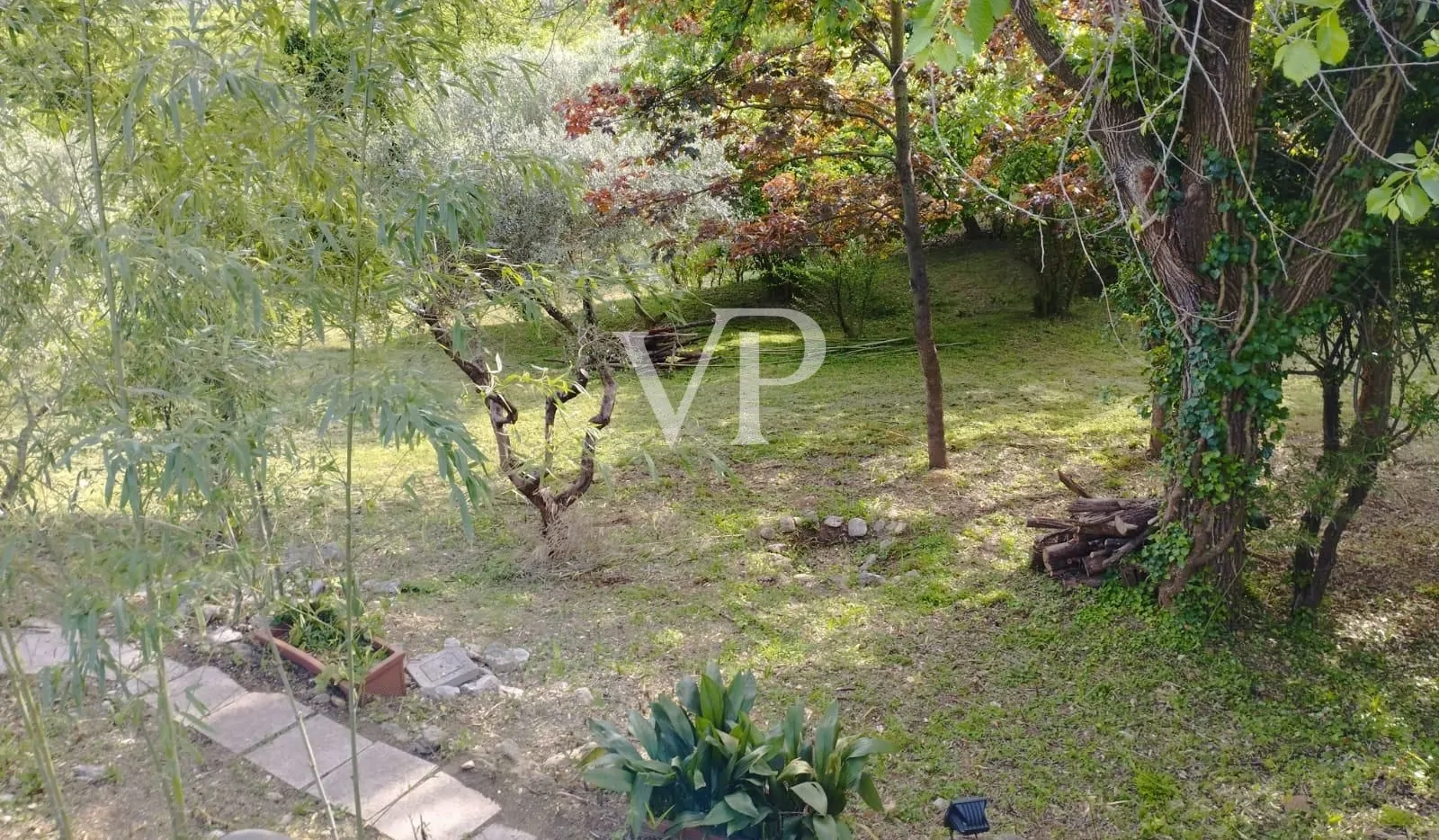 PHOTO-2024-09-18-15-23-04 (2)