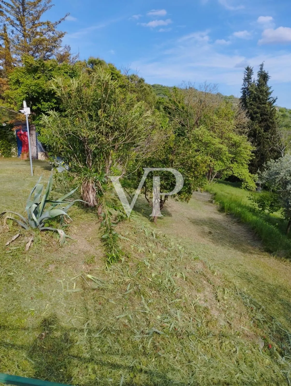 PHOTO-2024-09-18-15-23-05 (10)