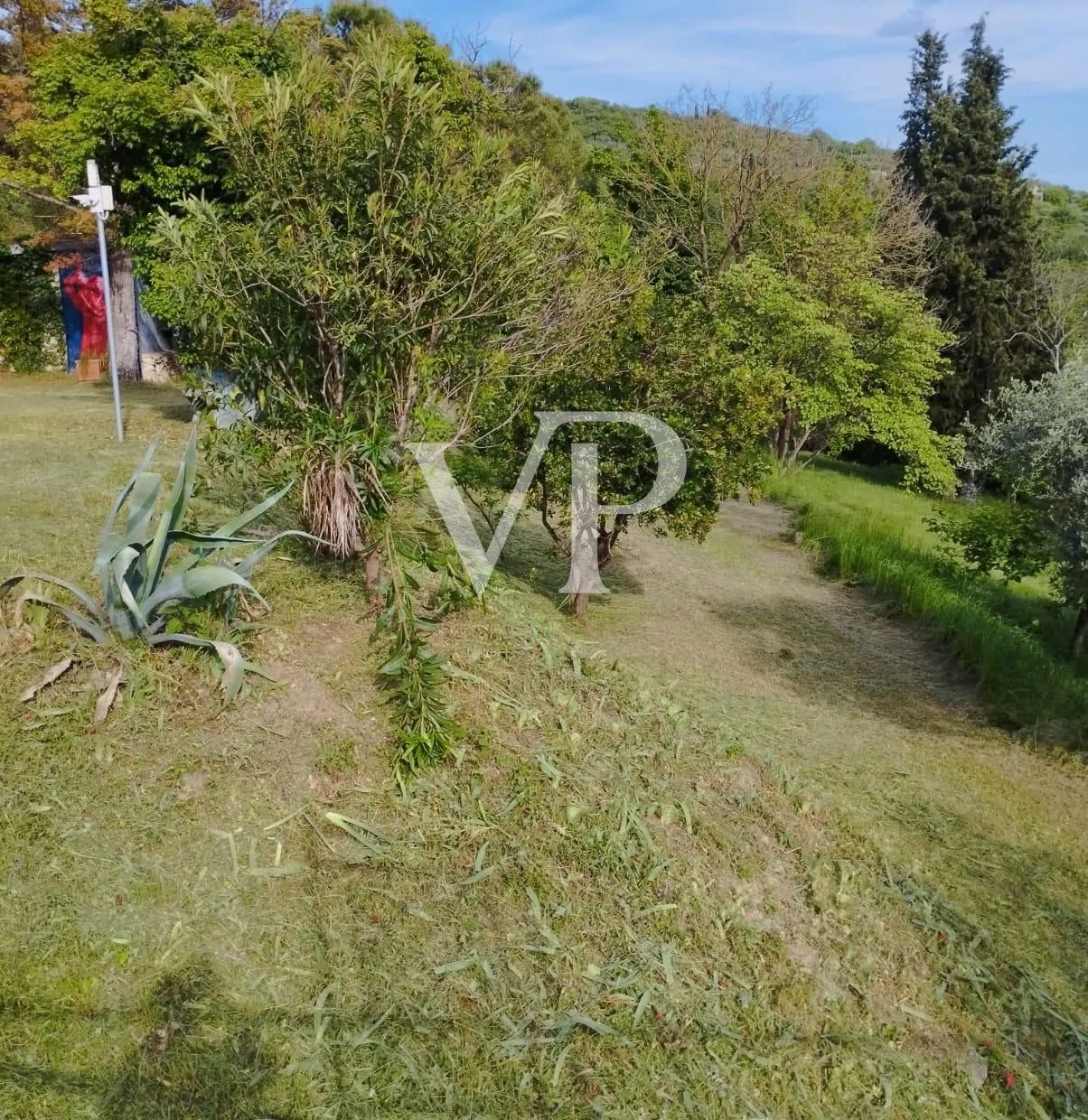 PHOTO-2024-09-18-15-23-05 (10)