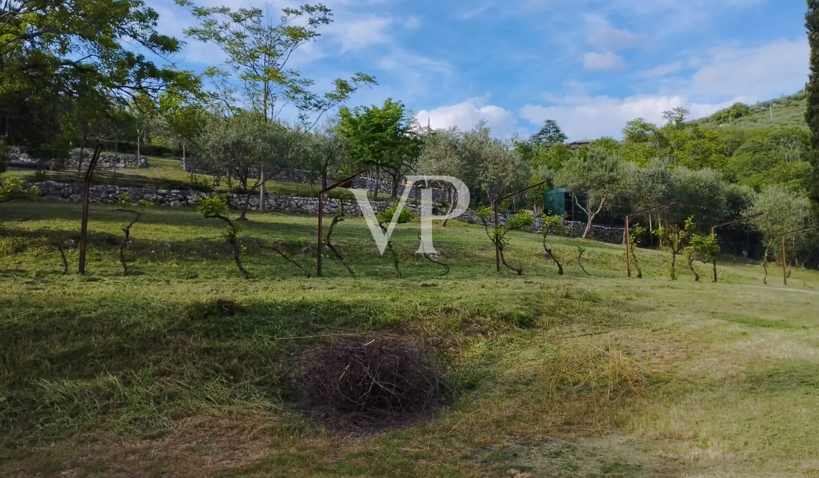 PHOTO-2024-09-18-15-23-04 (3)