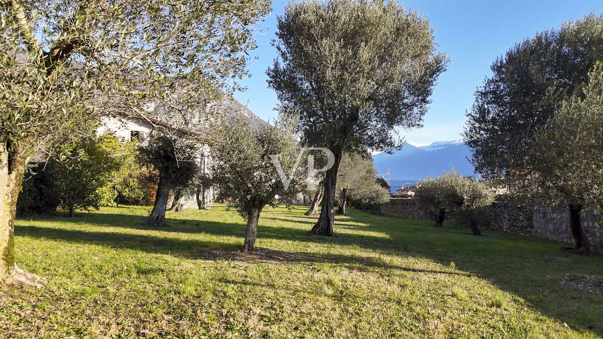 Farmhouse with lake view and park with olive trees