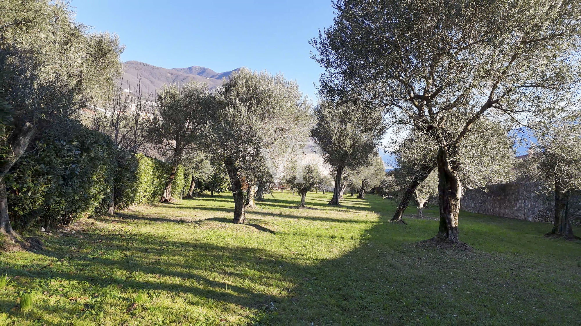 Granja con vistas al lago y parque con olivos