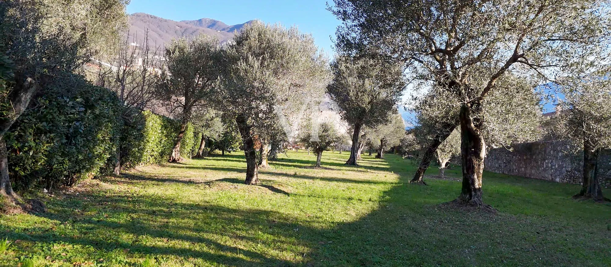 Casale con vista lago e parco ad ulivi