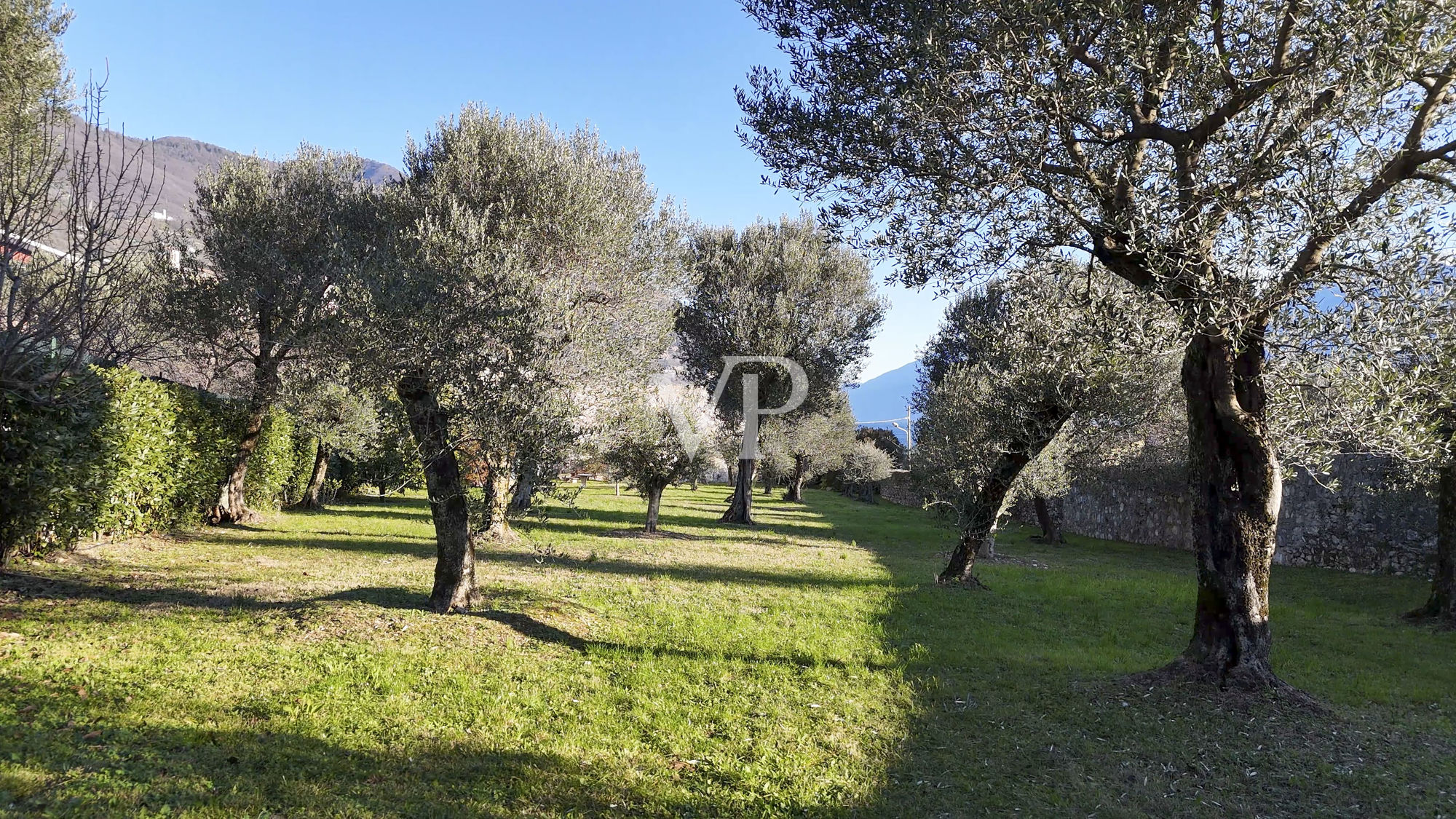 Farmhouse with lake view and park with olive trees