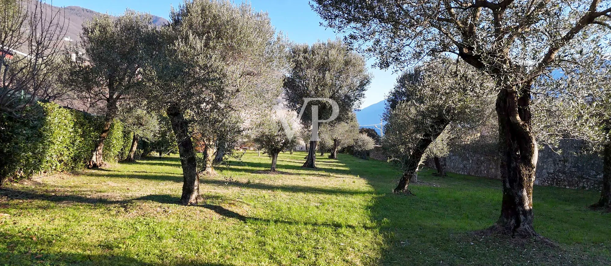 Casale con vista lago e parco ad ulivi