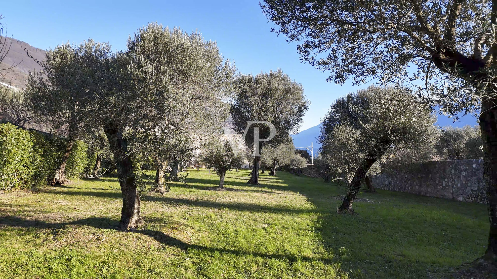 Farmhouse with lake view and park with olive trees