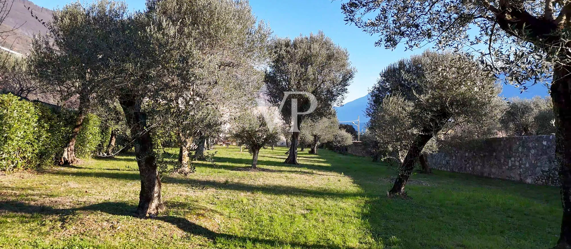 Casale con vista lago e parco ad ulivi