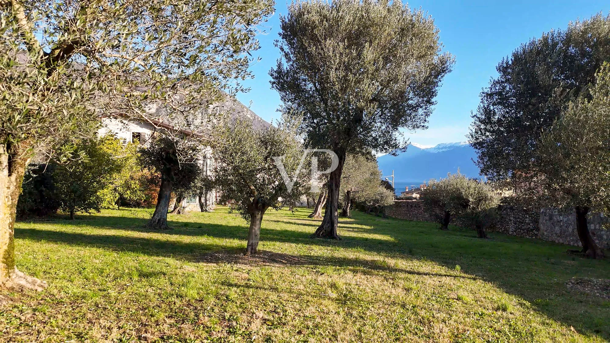 Bauernhaus mit Seeblick und Park mit Olivenbäumen