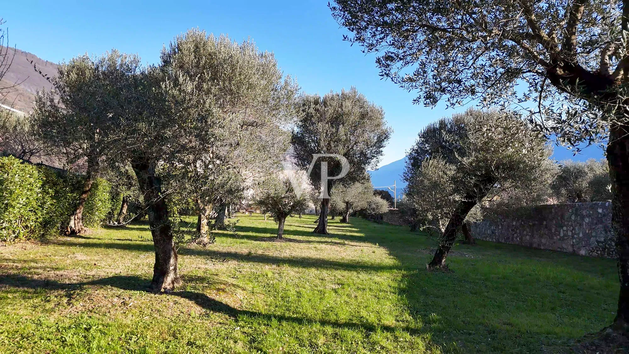 Bauernhaus mit Seeblick und Park mit Olivenbäumen