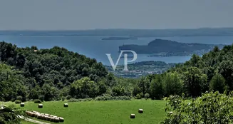 von_poll_real_estate_property_IT254921762_image_3