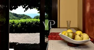 von_poll_real_estate_property_IT254921762_image_4