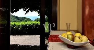 von_poll_real_estate_property_IT254921762_image_4