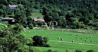 von_poll_real_estate_property_IT254921762_image_7