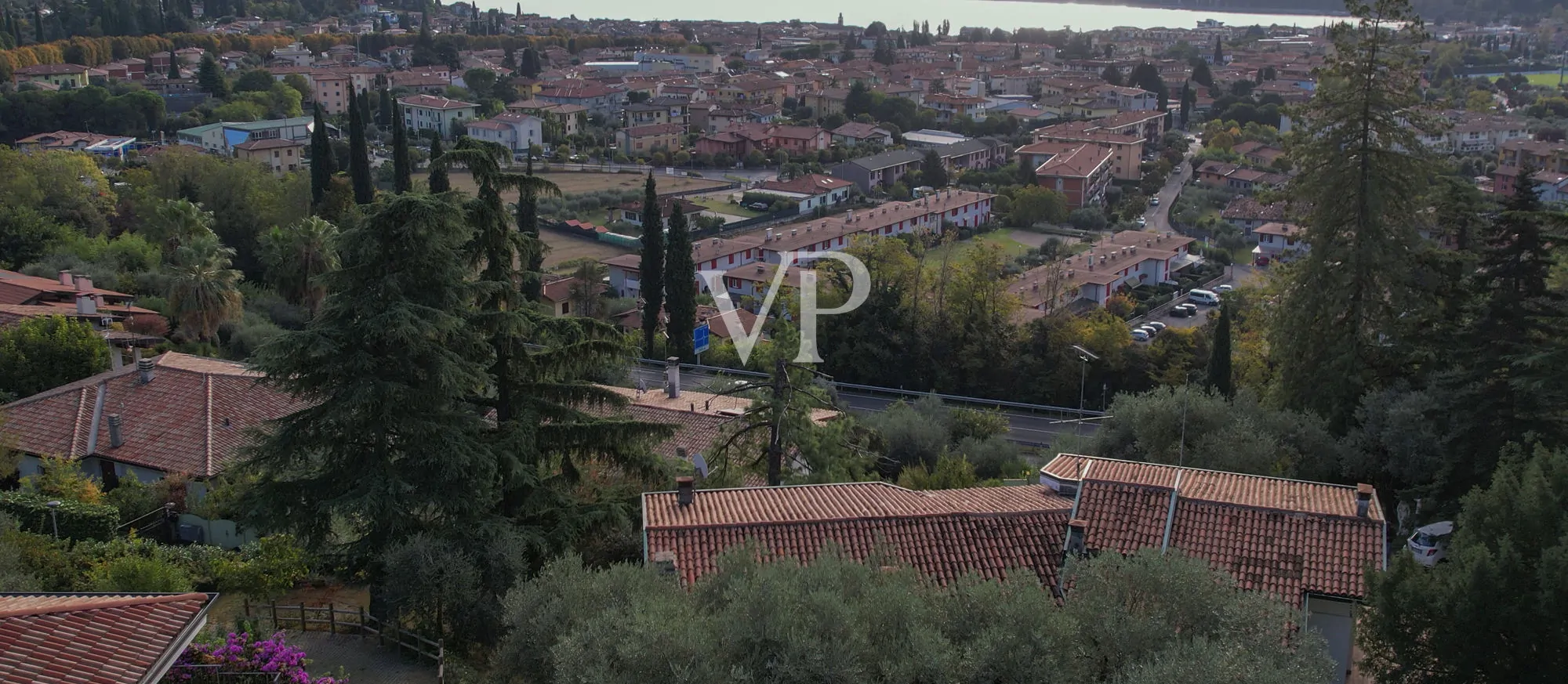 La vista