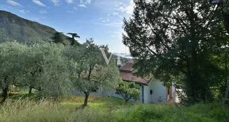 von_poll_real_estate_property_IT254921783_image_13